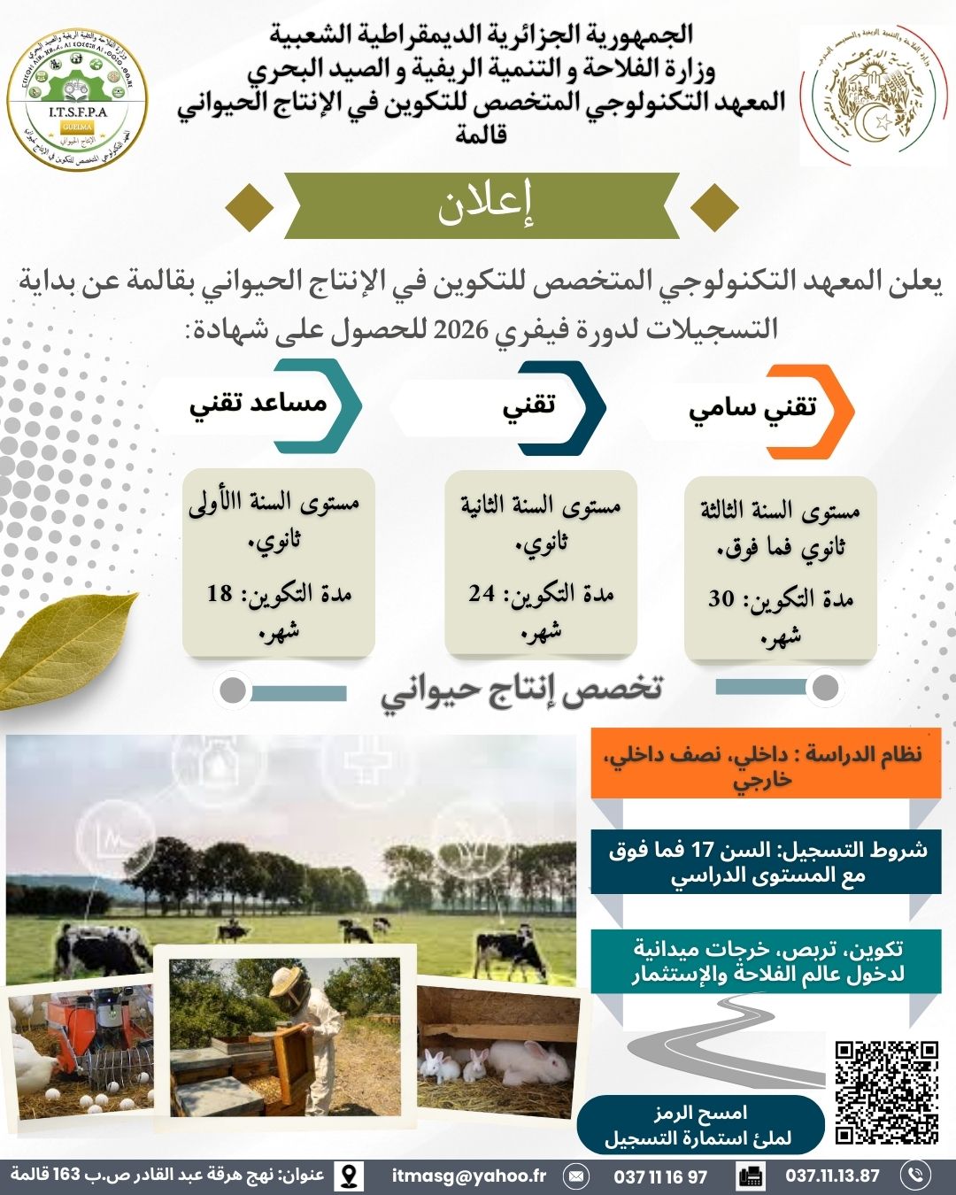 التكوين القاعدي