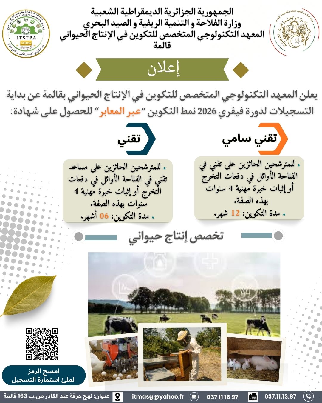 عبر المعابر