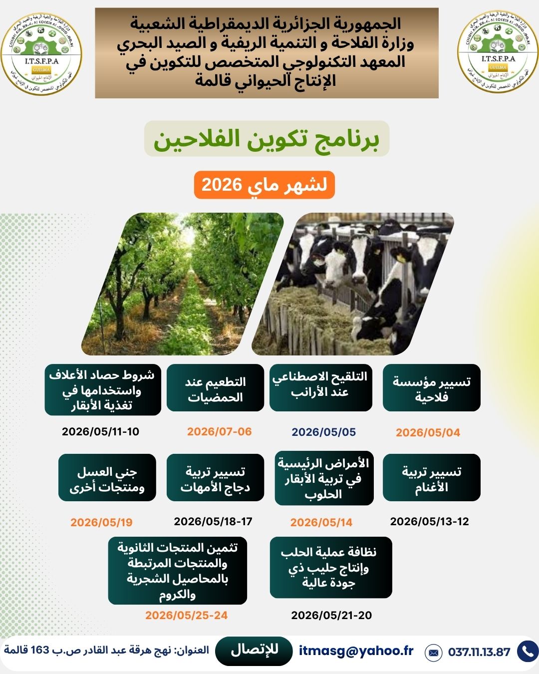 صورة 12